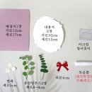 미담캘리