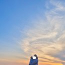 궁평항해오름수산시장 이미지