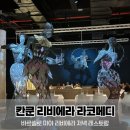 메인 메디 | 칸쿤 바르셀로 마야 리비에라 저녁 예약 후기｜라코메디 프랑스 레스토랑 솔직 리뷰