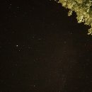 영숙이네 족발집 이미지