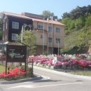 초록꿈틀마을 이미지