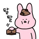 충주호더쉼캠핑장 이미지