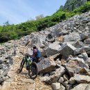 땅끝천년숲옛길 이미지