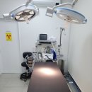 메이플 동물의료센터 이미지