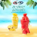 백석대 국가대표 퍼스트 태권도 이미지