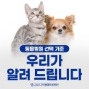 서산동물병원 이미지