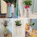 춘천마음숲정신건강의학과의원 이미지