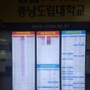 대평동_시외버스터미널BRT | 세종고속시외버스터미널 시간표, 편의시설 / 세종에서 계룡 3002번