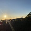 제주숲한의원 이미지