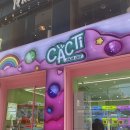 캑티 가챠샵 노원점 이미지