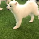 어질리티