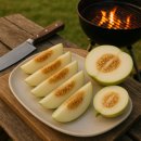🍈달달하고 아삭한 설향메론 후기🍈
