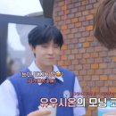위시무새 도쿄여행기-2편 // 로그인투어 가나가와 | 퍼시피코 국립대홀 | 도쿄 밋앤그릿