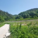 부산리 농장 이미지