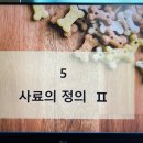 강아지놀이터 네이버블로그