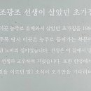 정암 조광조 선생 유배지 이미지