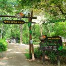 영축산순환산책로(유아숲) 이미지