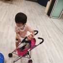 스테이 베프 이미지