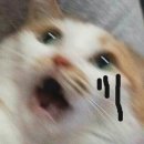 삼성(아) | 삼성티비 55인치 벽걸이 설치 후기 (+교체한 썰)