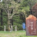산새소리유치원 | 🌿 5월의 단양 소백산, (주)에이스관광과 함께한 봄 여행 후기 🌿