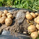 효림농장 이미지