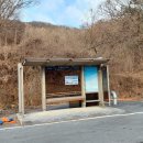 조동낚시터 Daum카페