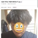 겔러리헤어 이미지