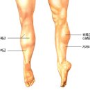 다옴한의원 이미지