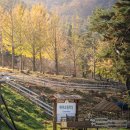 초원목장 이미지