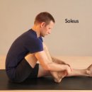 하지 스트레칭 (Calf, Lower Leg & Foot Stretching Routine) 이미지