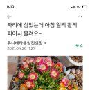 유니베라청주용암 이미지