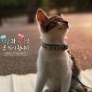오르보아 | 디지몬OST 버터플라이 오르골 제작 오르보아