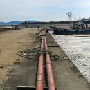 선두4리항 어판장 이미지