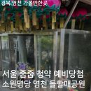 돌할매식당 | 영천 돌할매공원 진짜 소원 명당이네! 서울 줍줍 청약 예비당첨됐어요