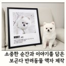 보곤다 | 강아지 액자 주문제작 추천 보곤다