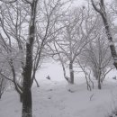 영호주유소 이미지