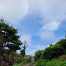 남원읍-87 이미지