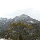 용봉산자연휴양림 이미지