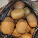 영기농장 이미지