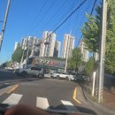 흔치않은 | 포항 닭보쌈 맛집 수탉 본점, 흔치 않은 닭요리 후기