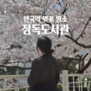 소담정 | 안국 북촌 정독도서관 벚꽃 현황, 가성비 구내식당 소담정 방문 후기