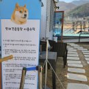 대선보건진료소 이미지