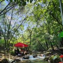 송계민박 이미지