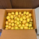 (주)대주에너지 | ⚔️검도장 레크레이션 &amp; 간식 데이 후기⚔️