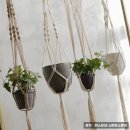 마크라메 플랜트 행잉 DIY | 홈가든 마크라메 월 행잉 플랜트 추천｜감성 인테리어 식물걸이 후기