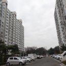 늘푸른홈인테리어