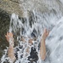 삼천탕 Daum카페