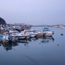 오천항 | 캠핑과 요트 무인도 여행 동호회 첫 만남 후기 , 오천항 바람 속에서도 시작된 첫 캠핑.