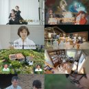 피플태그 스튜디오