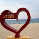 여주-0038 | 강릉 안목해변 카페거리 맛집 강릉항회센터, 보사노바 루프탑 카페